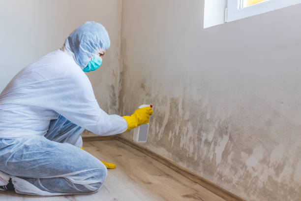 Hvac And Air Duct Mold Remediation inspection of HVAC system in Bordentown