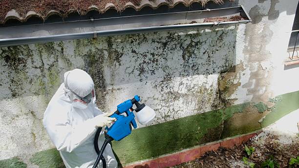 Mold Removal service in Bordentown